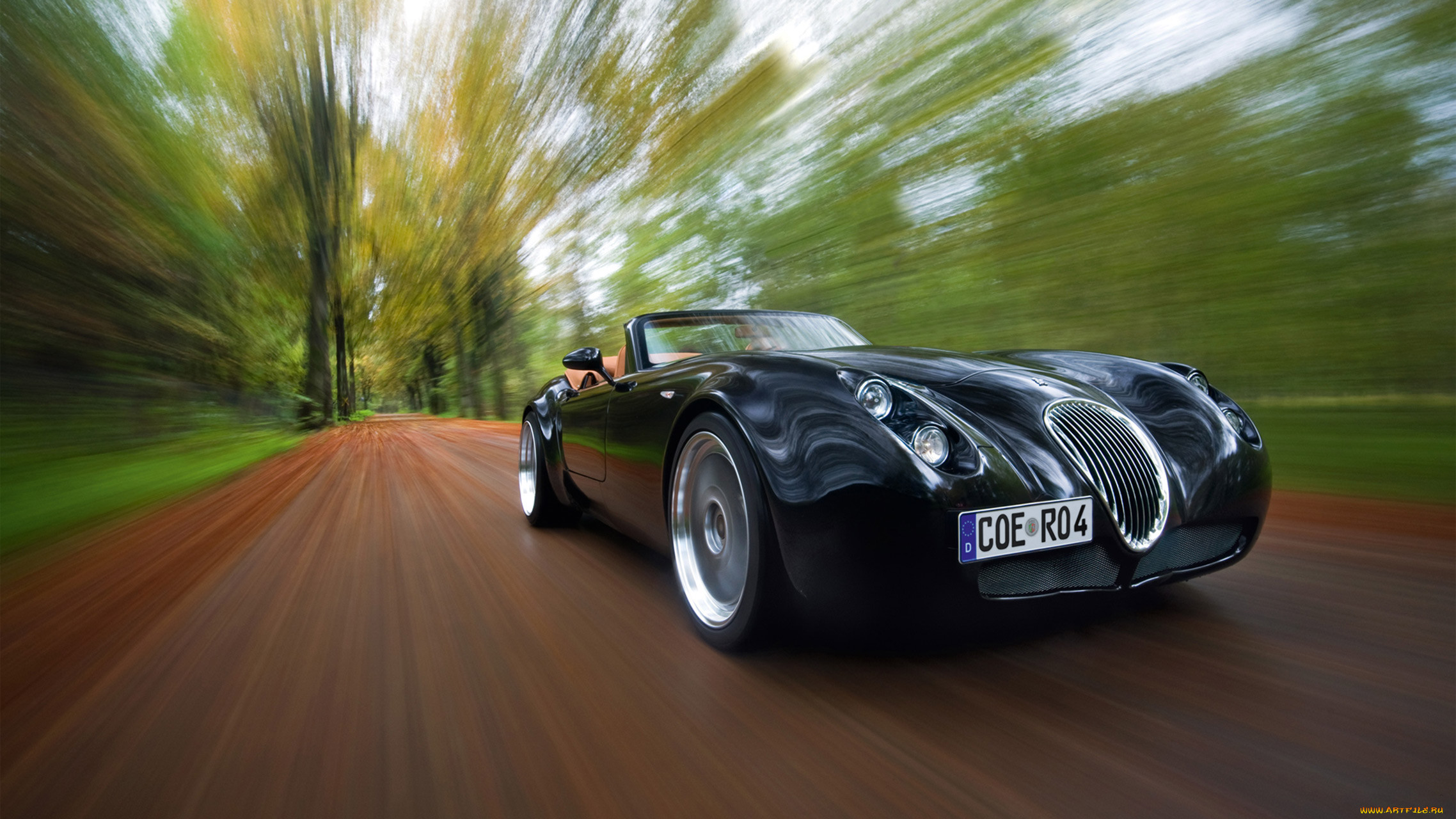 wiesmann roadster mf4 2011, , wiesmann, roadster, 2011, mf4